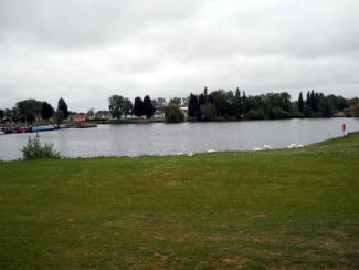 �C�M���X�����t���I�s�E�m�[�U���v�g���̃A���e�B�[�N�t�F�A��